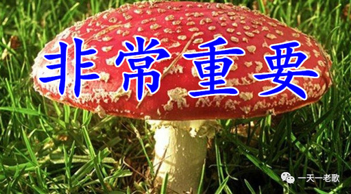 國寶、國寶、國寶、國寶、國寶、國寶！