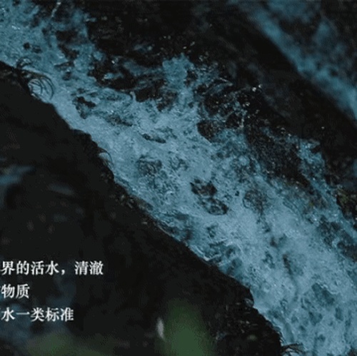 千品茶业