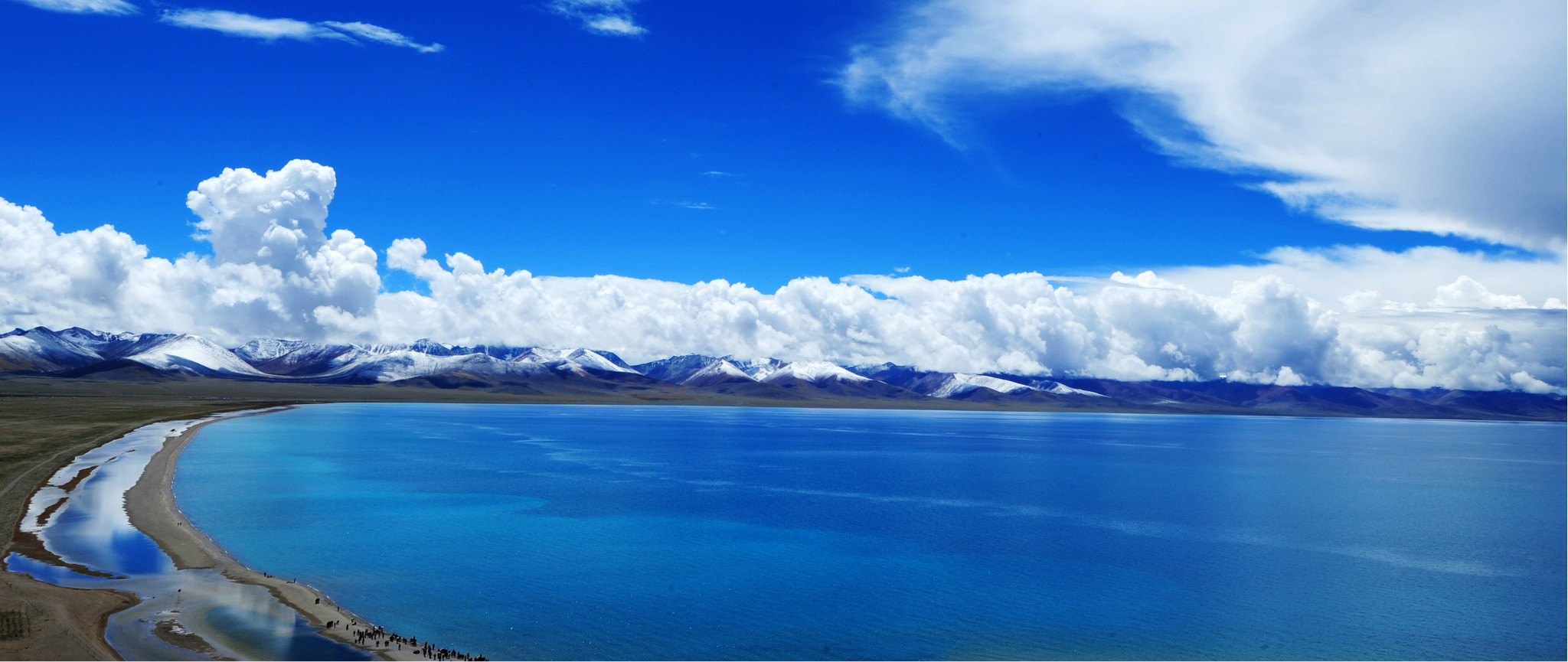 完美青藏、山东成团