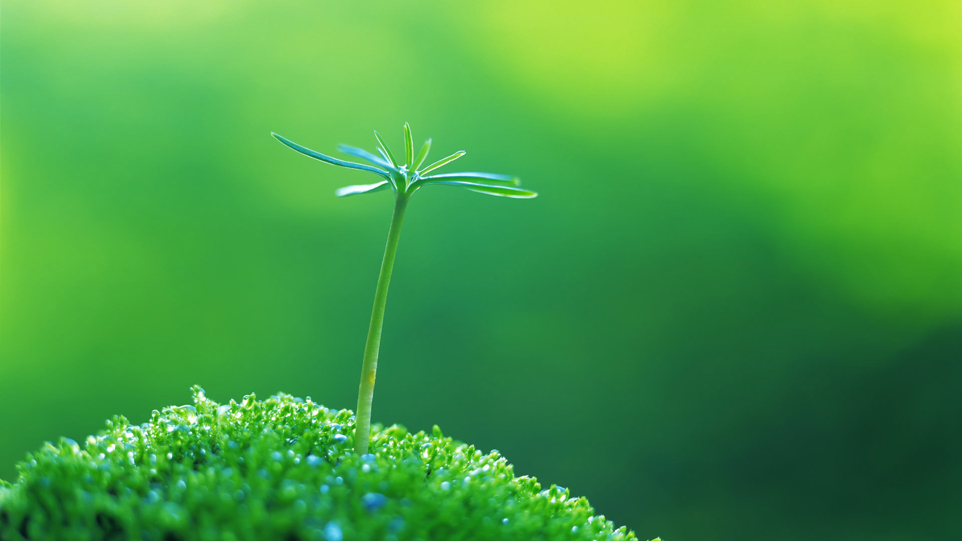 2016年东阳市中医院继续教育学习班