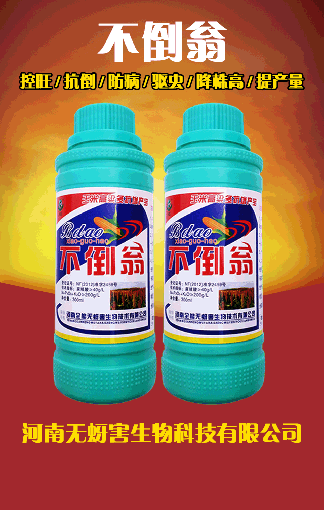不倒翁验收效果展示-扶余