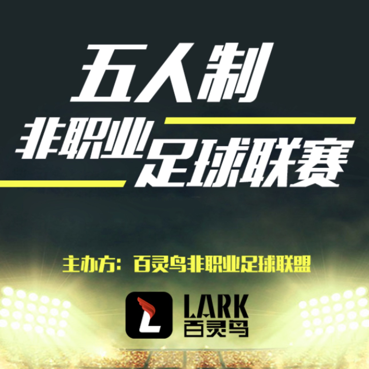 百灵鸟五人制非职业足球联赛