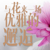 與花來一場優(yōu)雅的邂逅